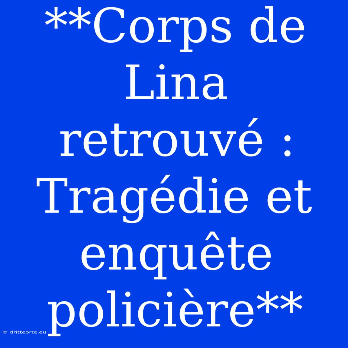 **Corps De Lina Retrouvé : Tragédie Et Enquête Policière** 