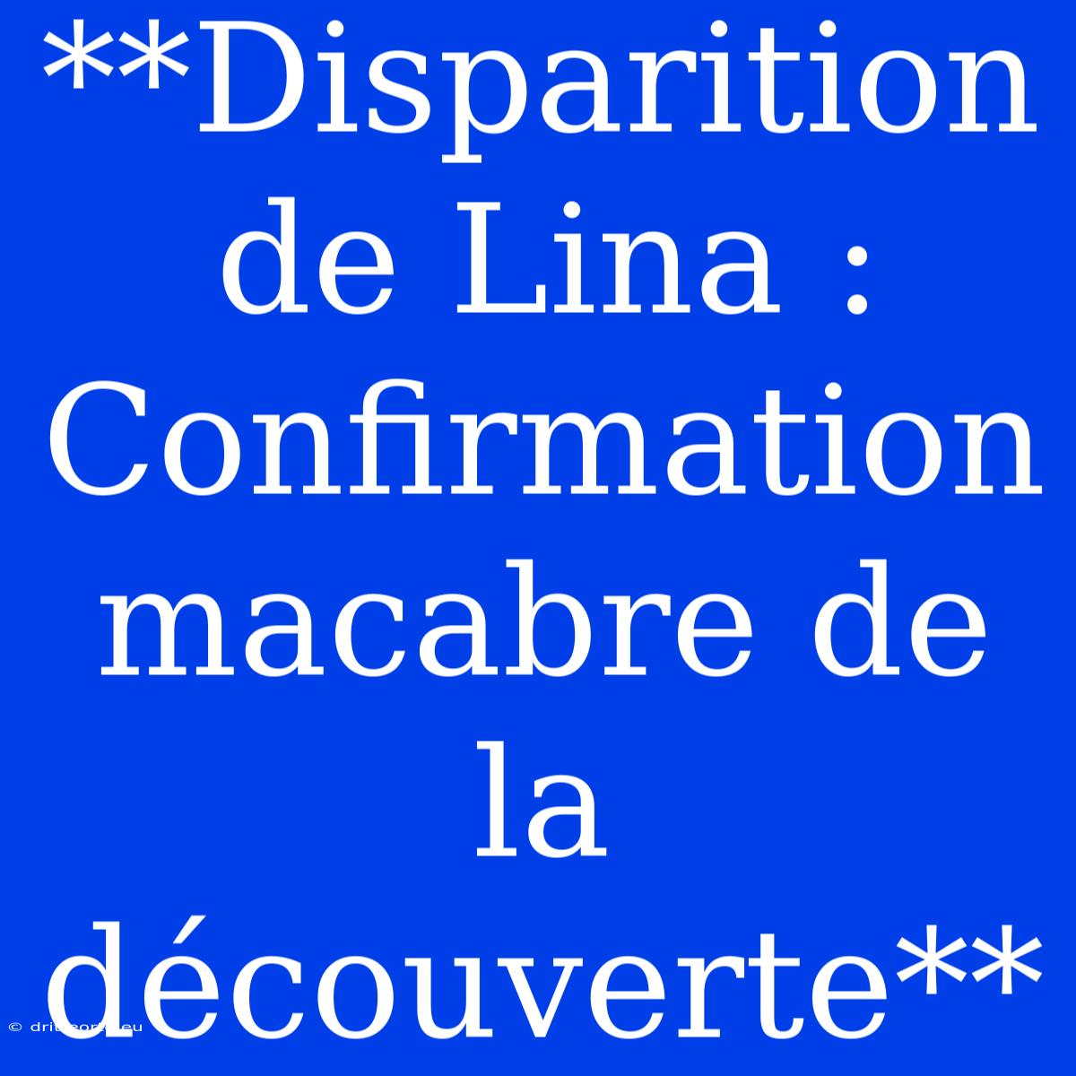 **Disparition De Lina : Confirmation Macabre De La Découverte**