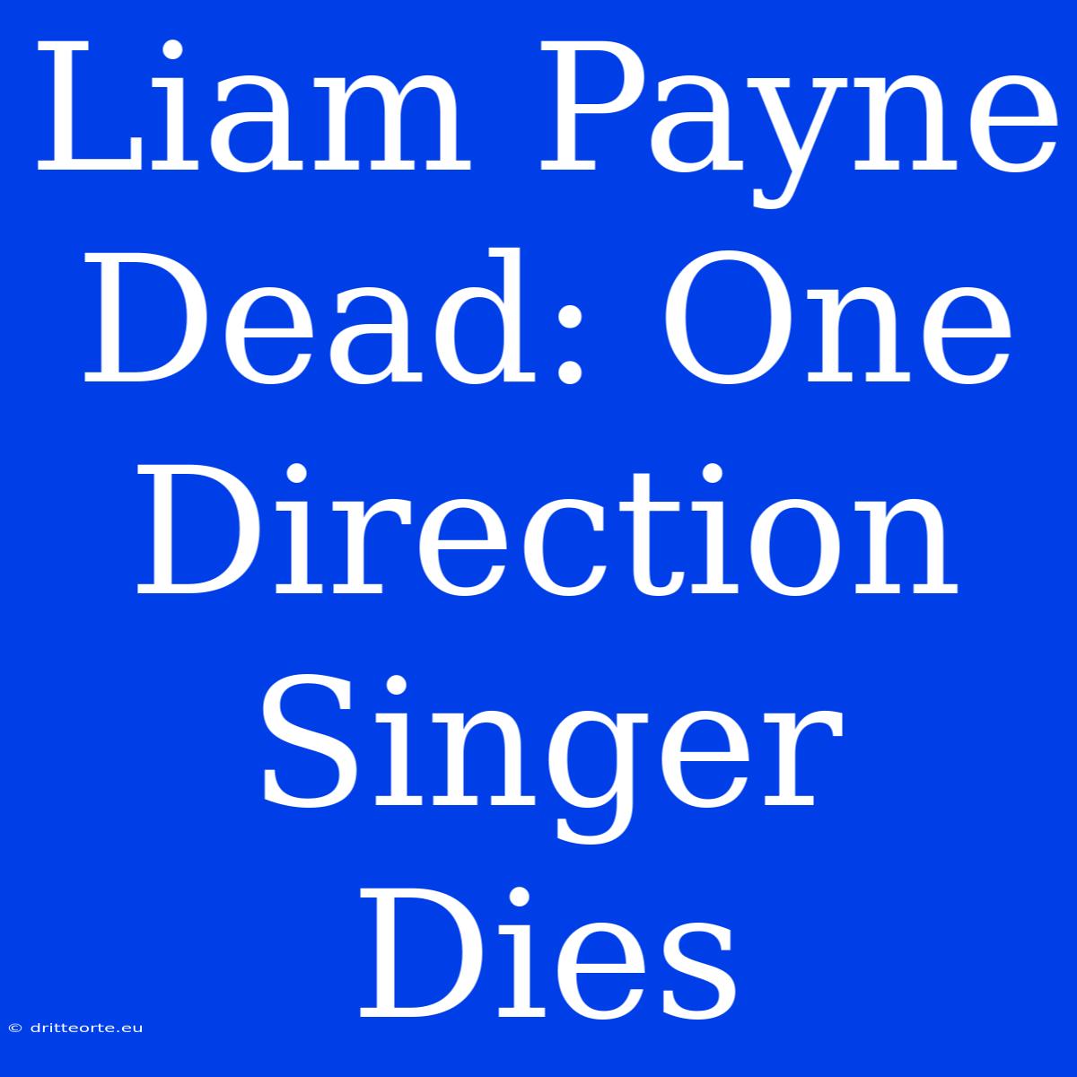 Liam Payne Dead: One Direction Singer Dies 