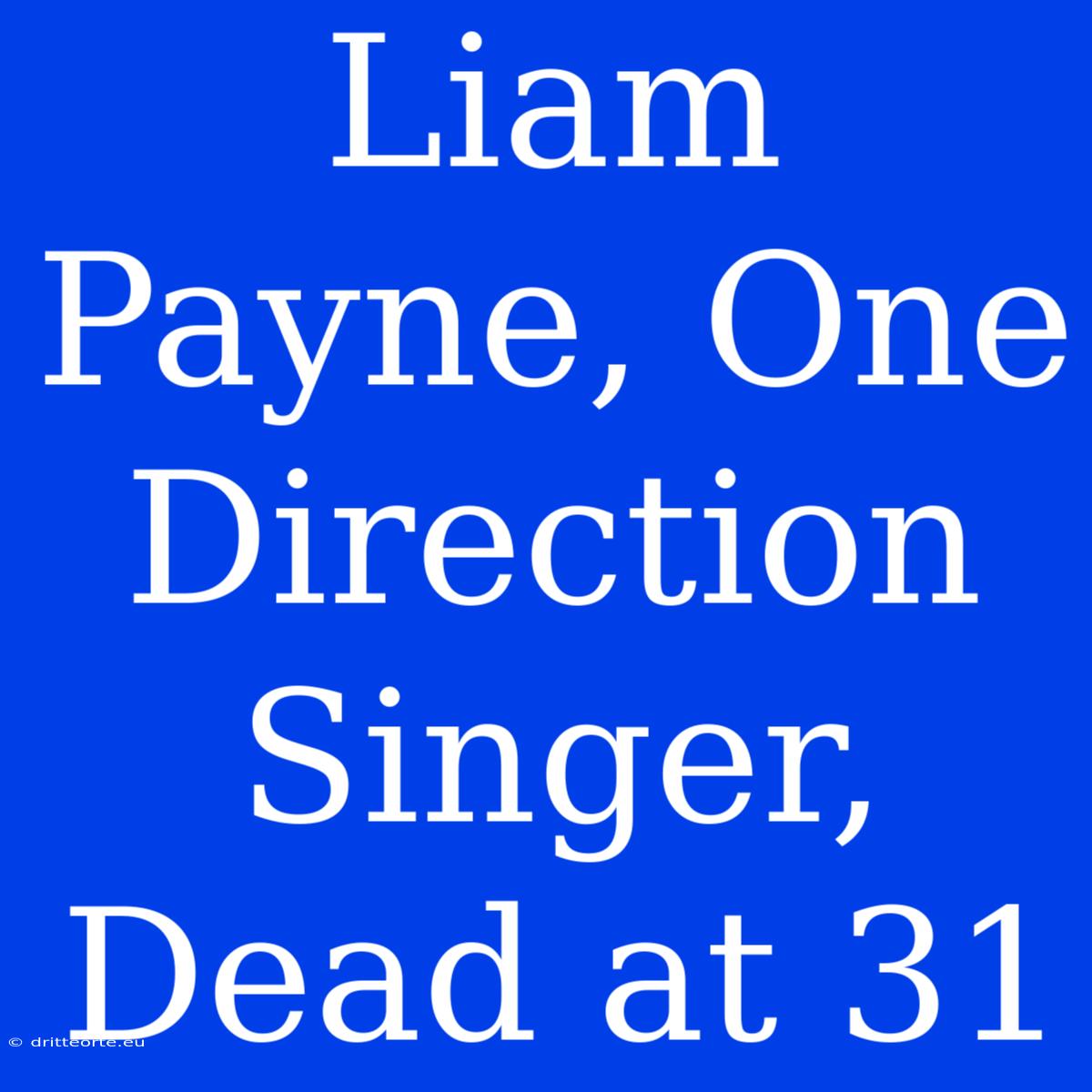 Liam Payne, One Direction Singer, Dead At 31 