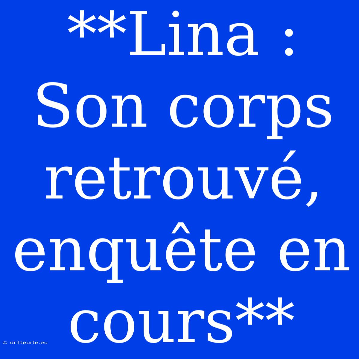 **Lina : Son Corps Retrouvé, Enquête En Cours** 